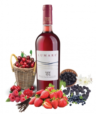 Tenuta Iuzzolini Lumare I.G.T. 0,75l (lumare.jpeg)