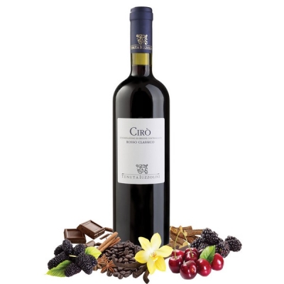 Tenuta Iuzzolini Cirò DOC Rosso 0,75l (ciro_rosso.jpeg)