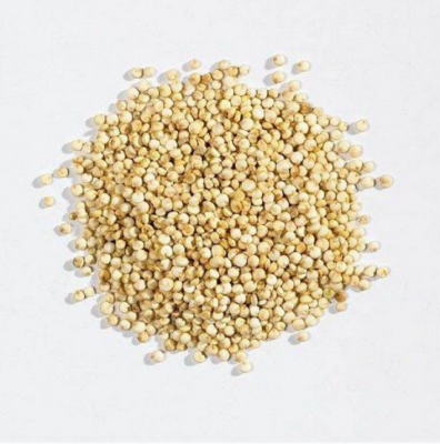 Angelini Semi di Quinoa 200g (img_844850_212615Quinoa-Semi-per-Uccelli.png)
