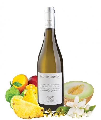 Tenuta Iuzzolini Madre Goccia I.G.T. 0,75l (marde_goccia.jpeg)