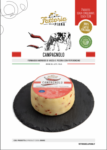 Fattoria della Piana Formaggio Campagnolo (Campagnolo_1.png)