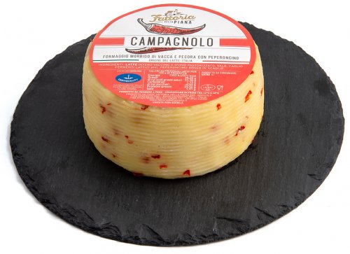 Fattoria della Piana Formaggio Campagnolo (campagnolo.jpg)