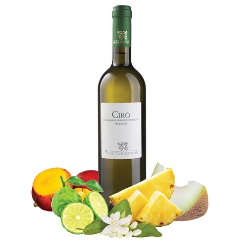 Tenuta Iuzzolini Cirò DOC Bianco 0,75l (ciro_bianco.jpeg)
