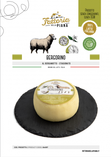 Fattoria della Piana Pecorino Bergorino (Pecorino_bergorino.png)