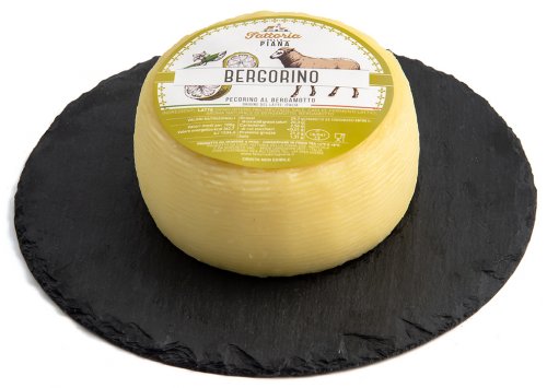 Fattoria della Piana Pecorino Bergorino (bergorino.jpg)